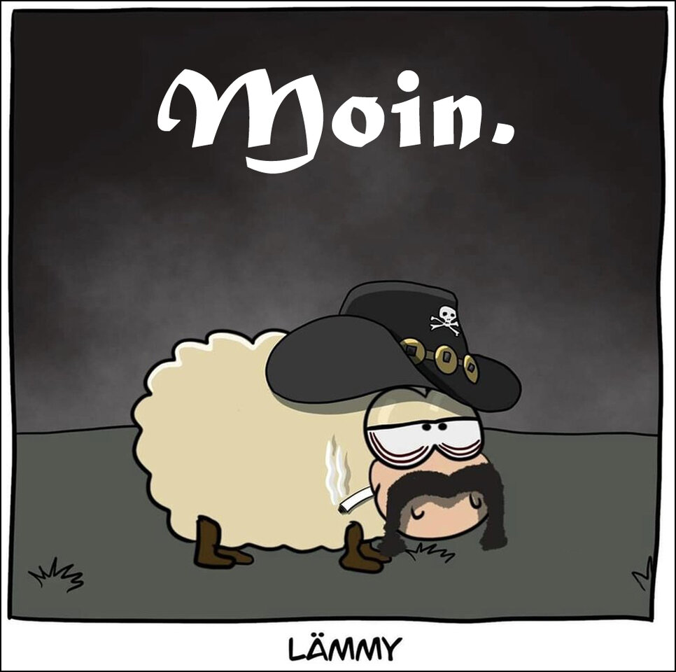 Moin Lämmy.jpg