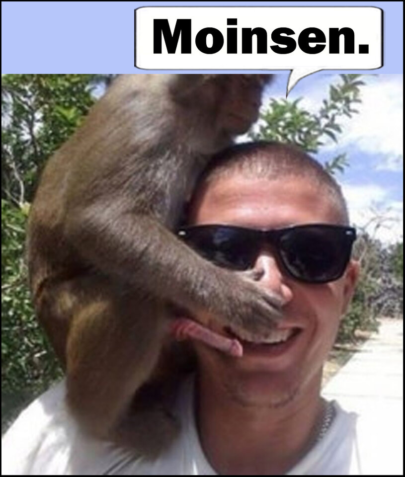 Moin Mann Affe_2.jpg