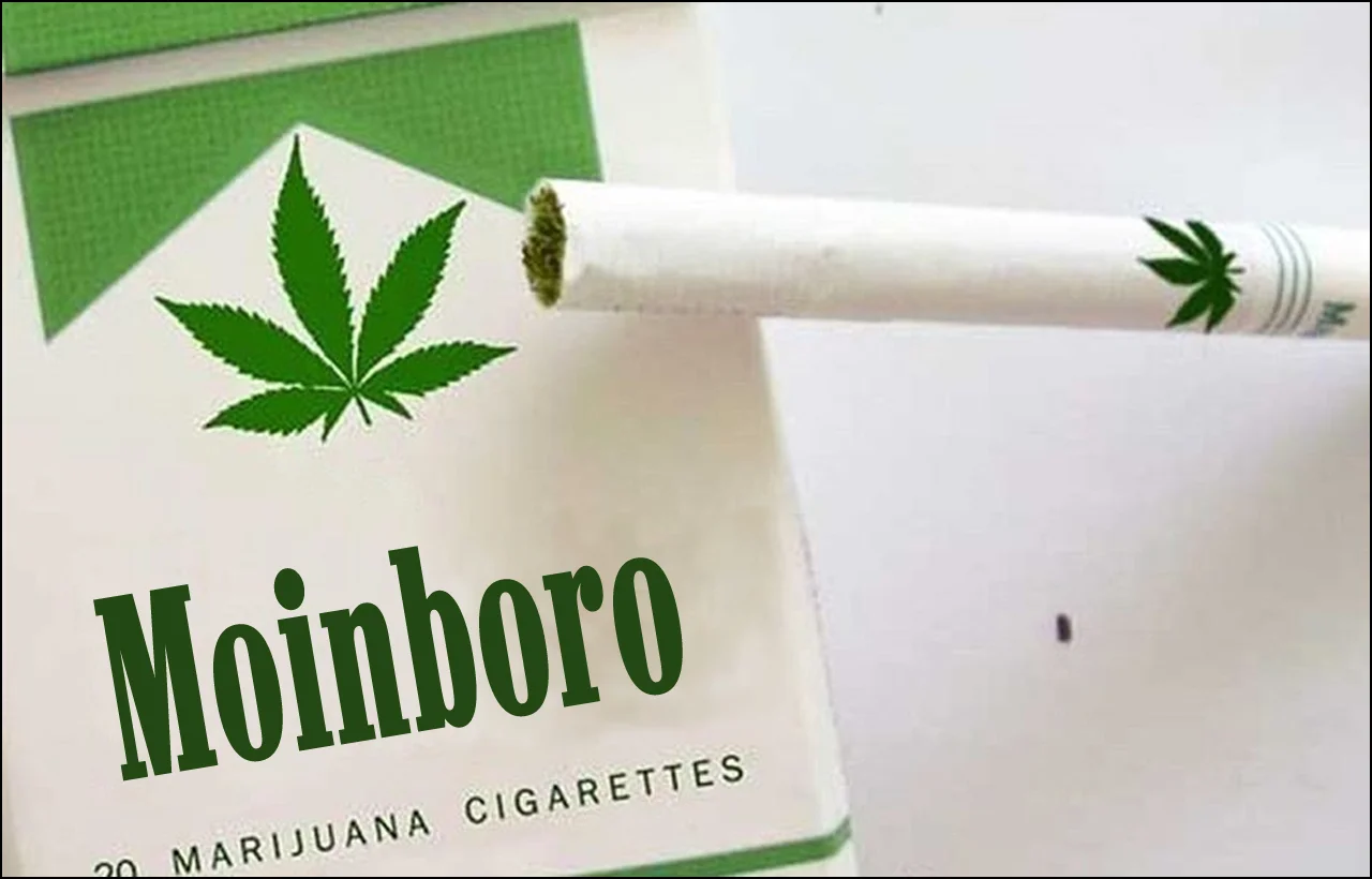 Moin Marlboro Green_1.webp