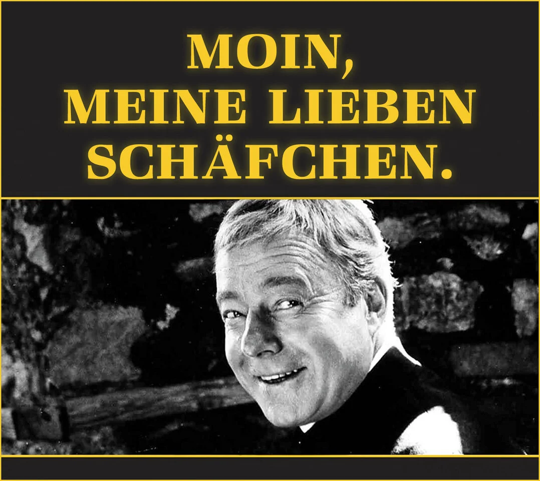 Moin Pater Brown23357_2.webp