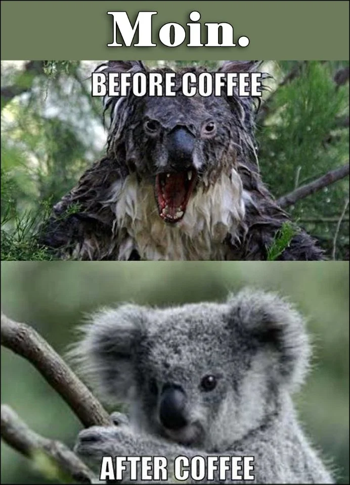 Moin Vor_und_nach_dem_Kaffee_2.webp