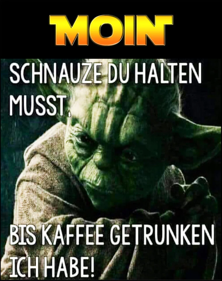 moin yoda511_2.webp