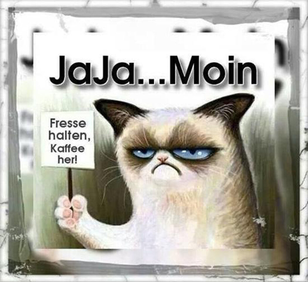 Moin6448_2.jpg
