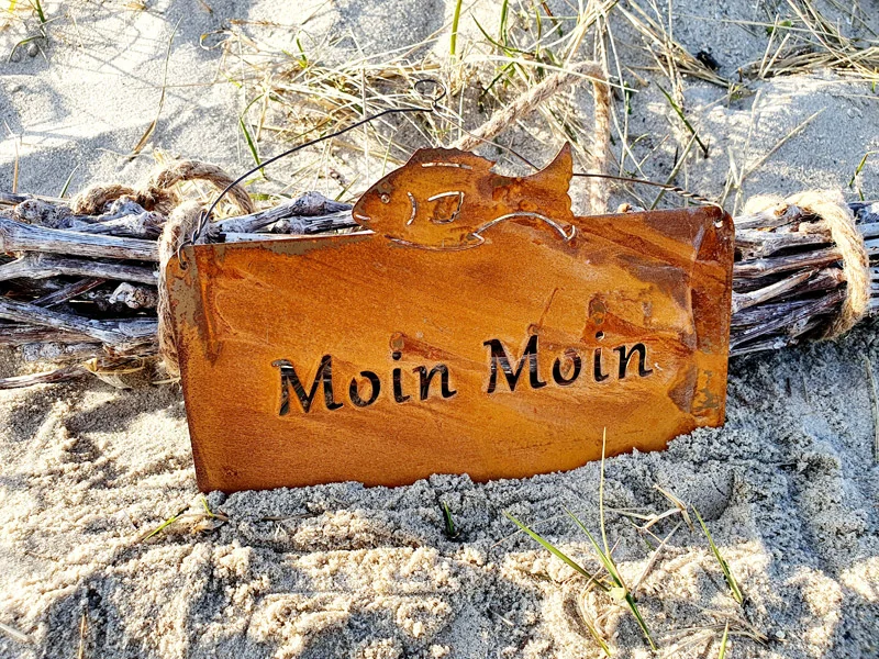 moin_562188000712_2.webp
