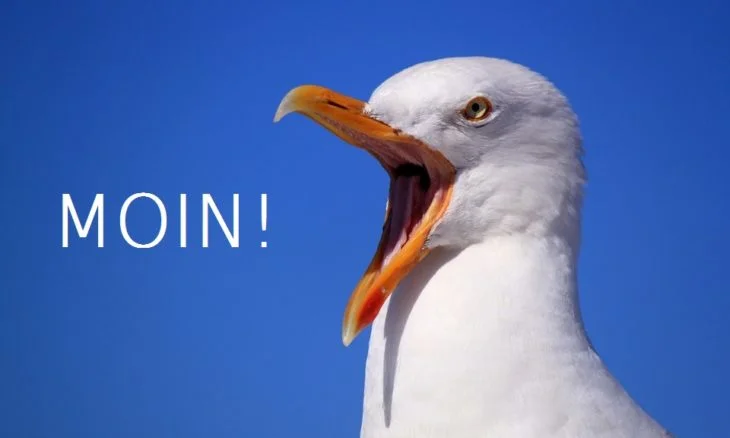 moinsen-730x438.webp