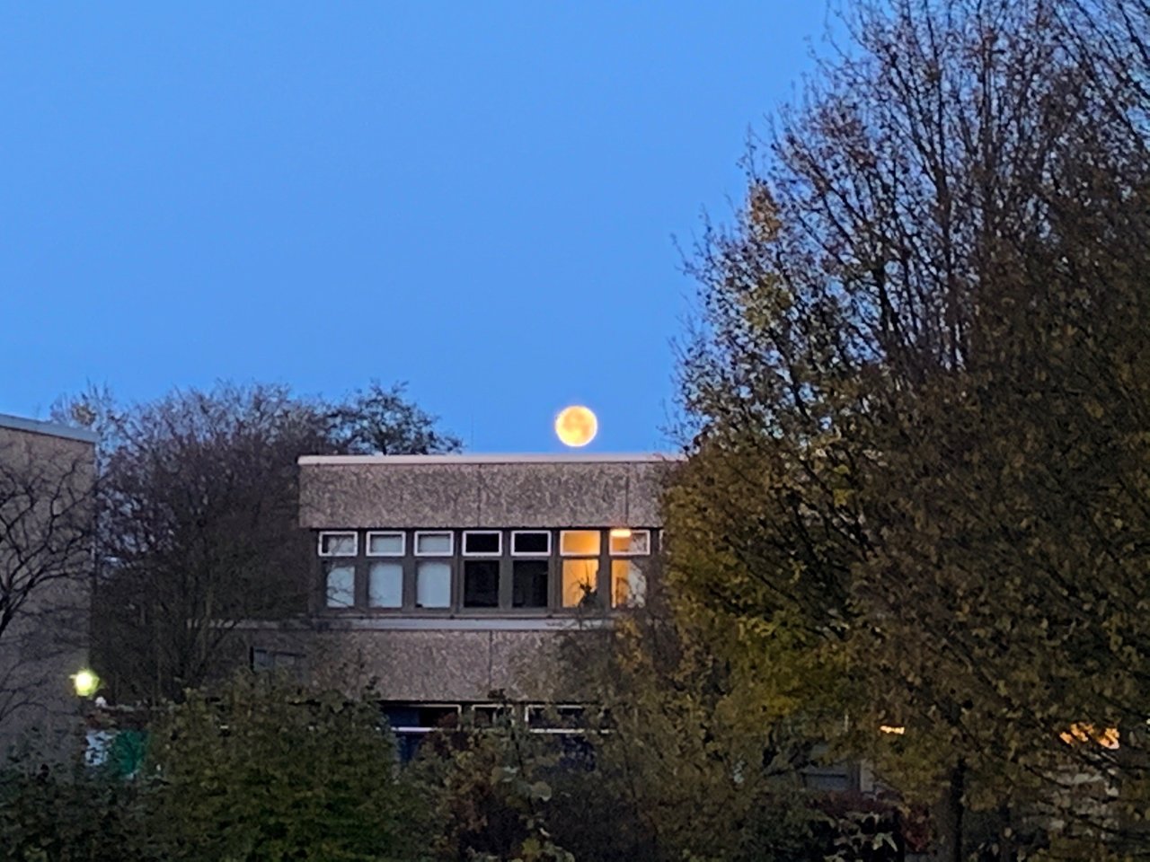 Mond.jpg