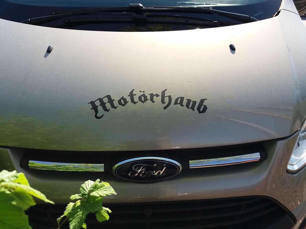 motorhaub.jpg