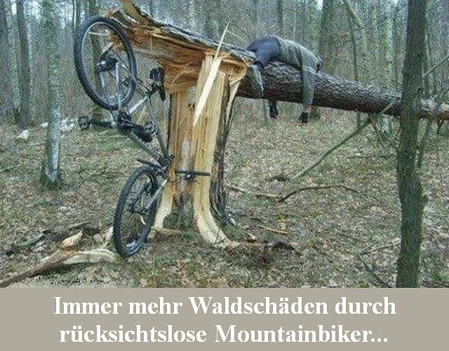 Mountainbiker.webp