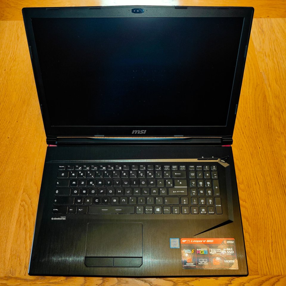 MSI GP73 Leopard 8RD (2).jpg