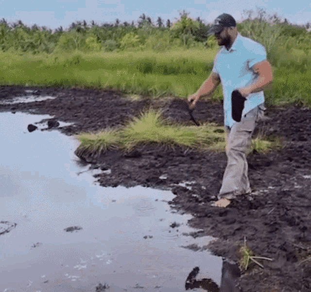 muddy-waters.gif