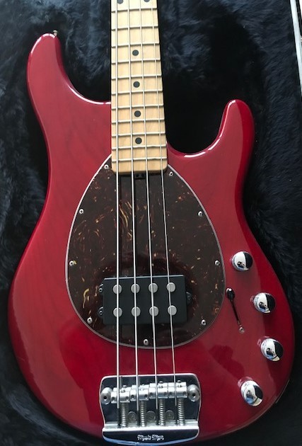 Musicman 2.jpg