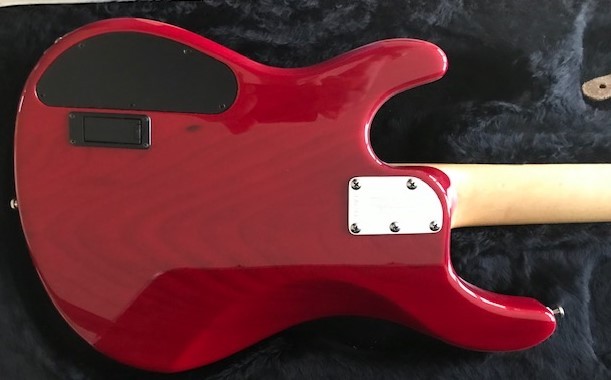Musicman 8.jpg