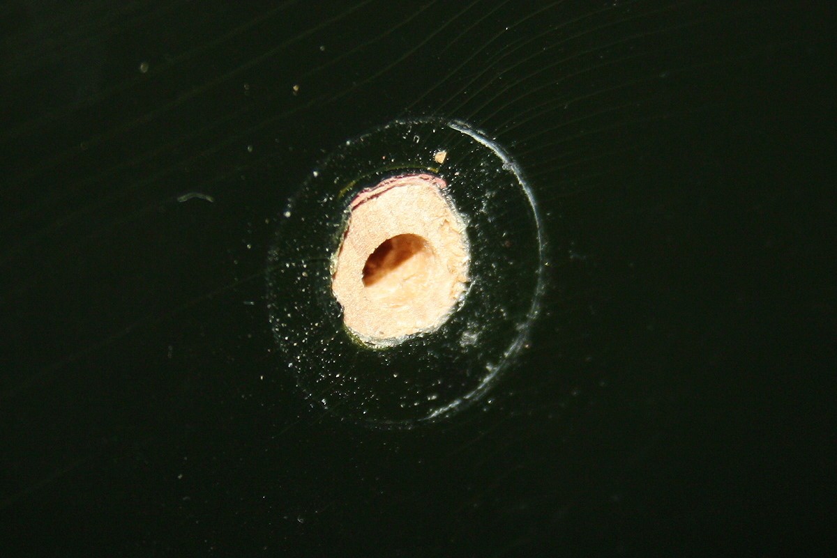 musima-action-1.jpg