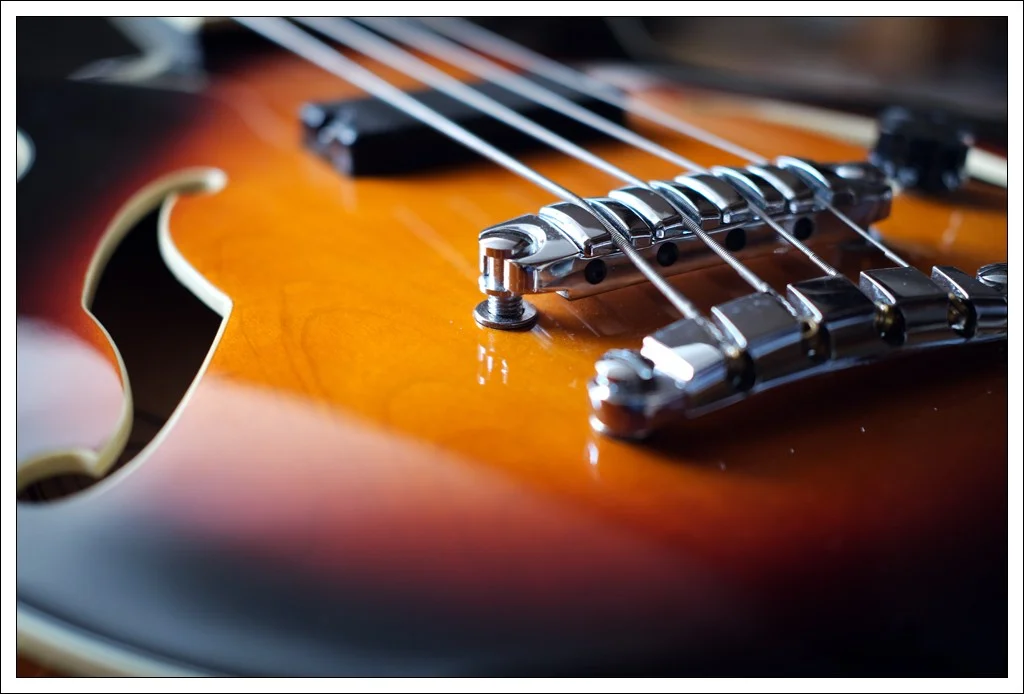 Nahaufnahme 990.webp