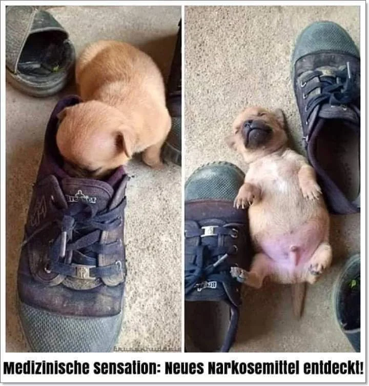 Narkosemittel.webp