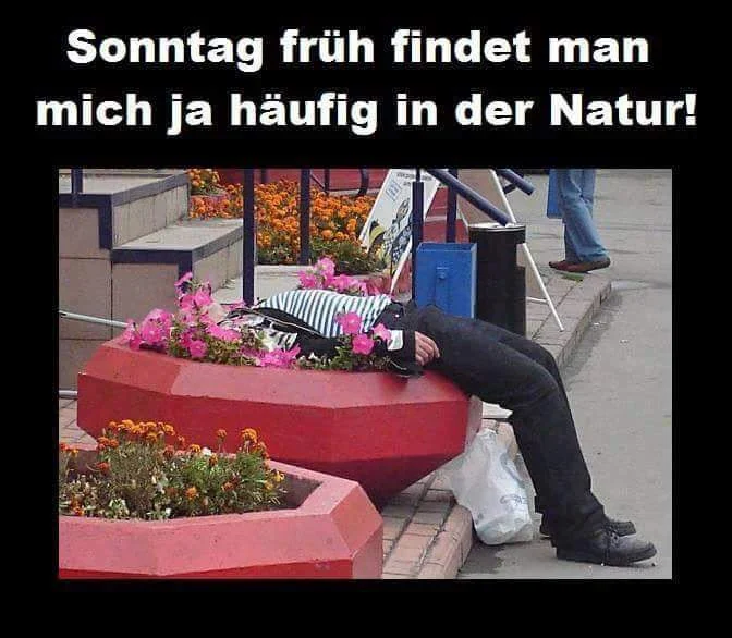 Natur.webp