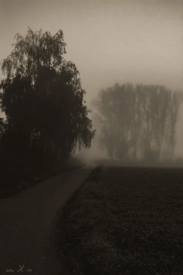 Nebelweg mit Baum_12112019.webp