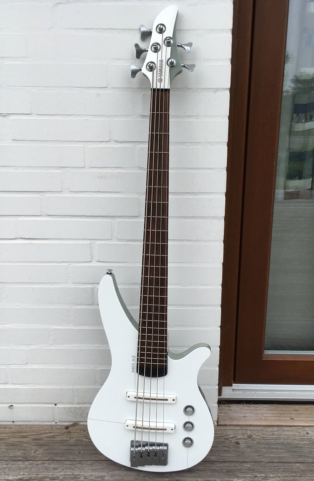 newibass2.jpg