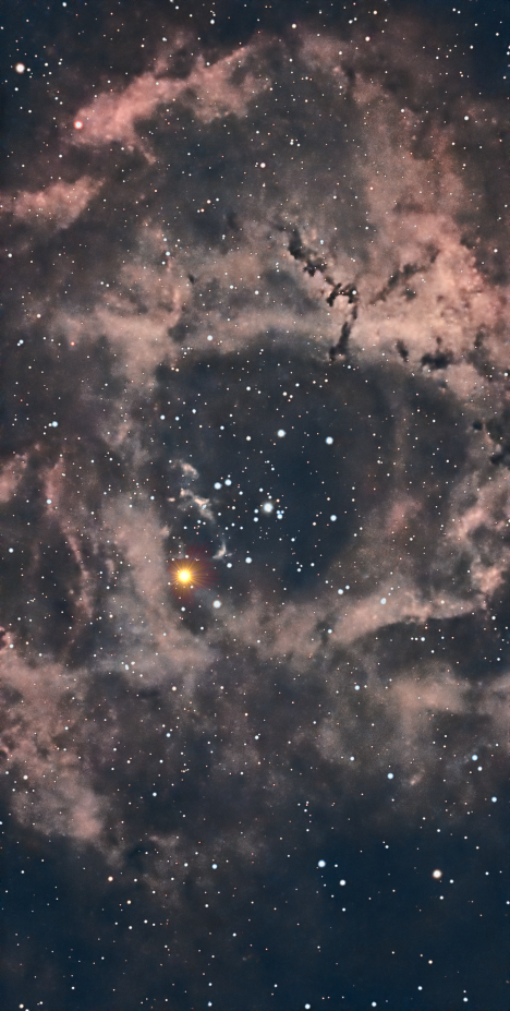 NGC_2244_Bassic.png