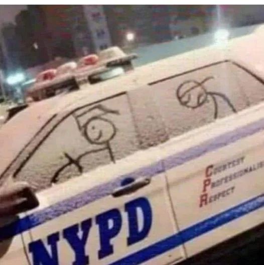 NYPD.webp