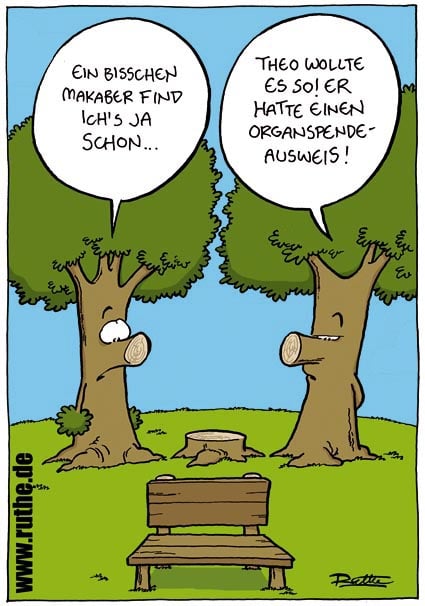 organspende.jpg