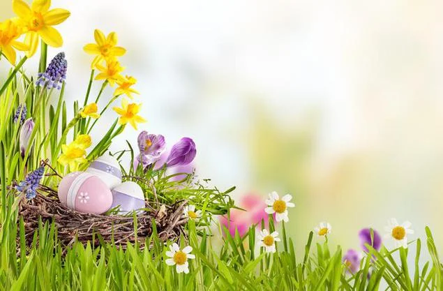 ostern-nest-tapete-24761_w635.webp