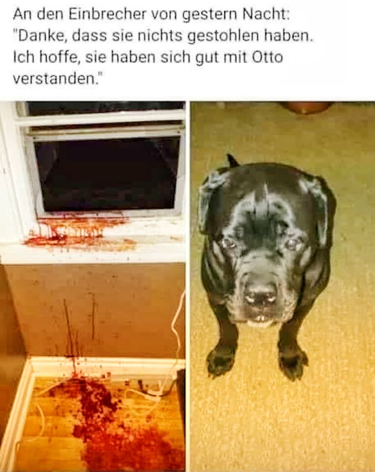 Otto-01.jpeg