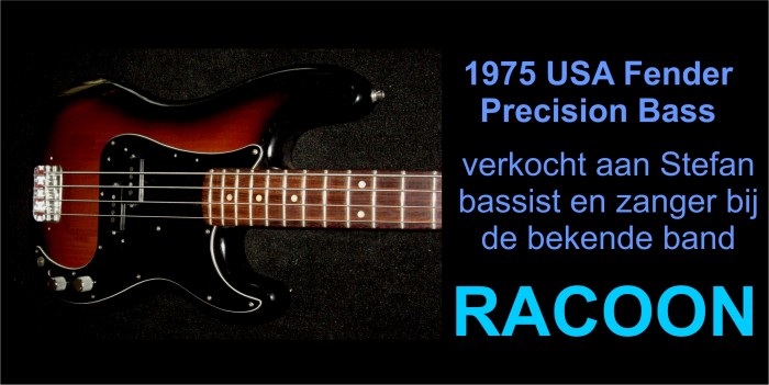 p-bass-racoon.jpg