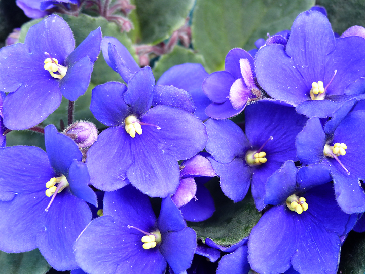 P1000074.png
