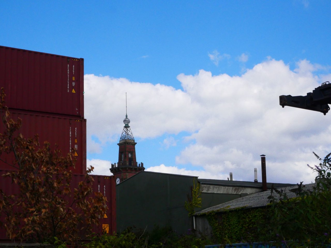 P10004795.JPG