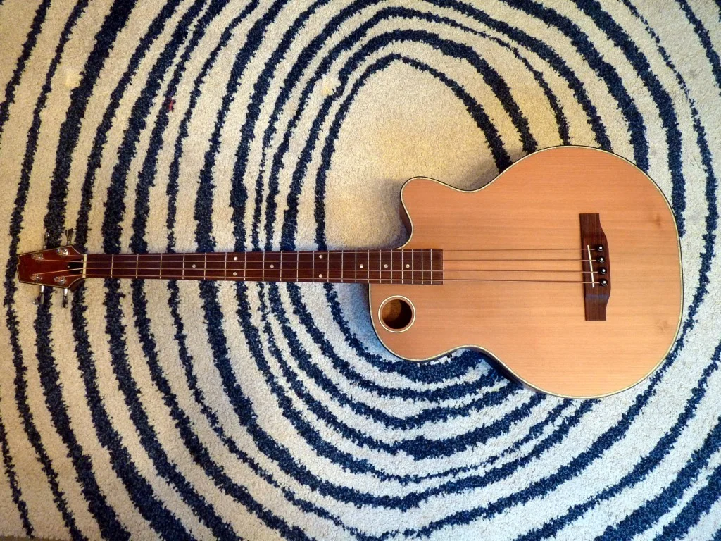 P1040495 (Medium).webp