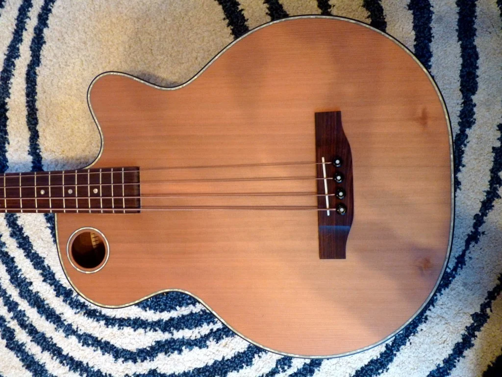 P1040497 (Medium).webp