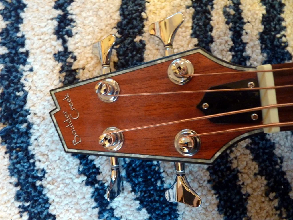 P1040498 (Medium).webp