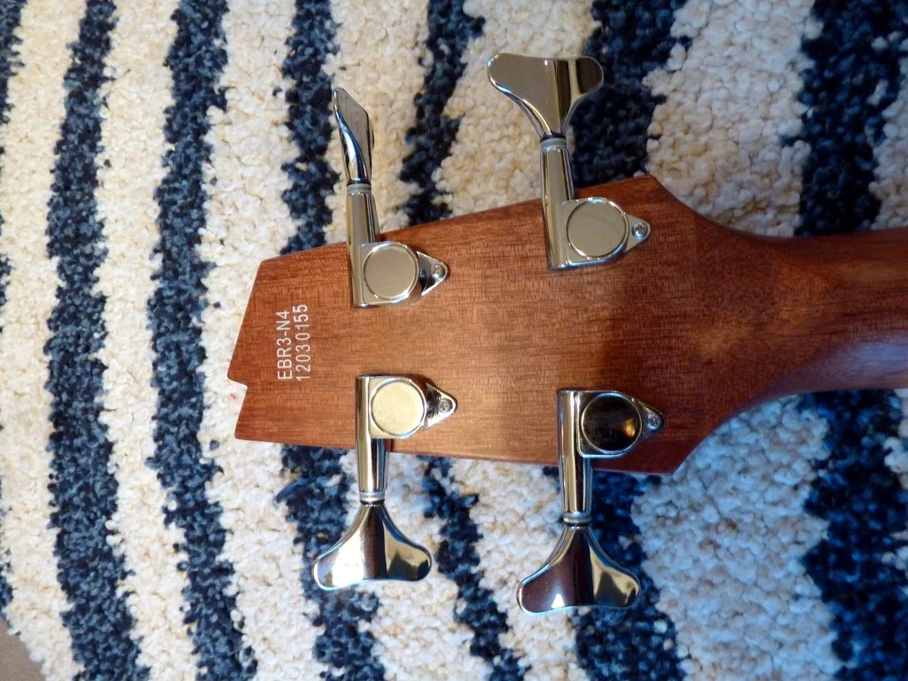 P1040501 (Medium).webp