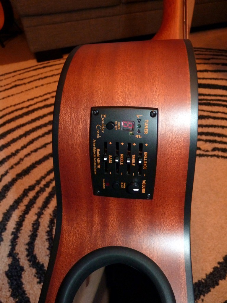 P1040507 (Medium).JPG