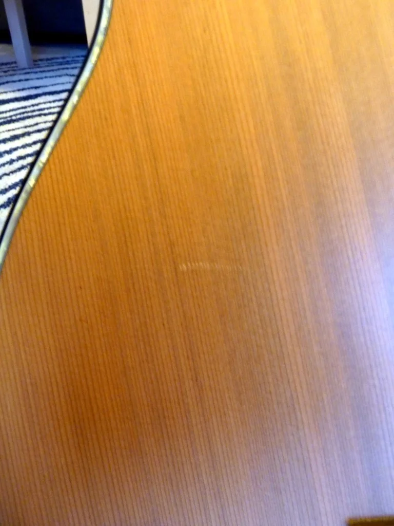 P1040509 (Medium).webp