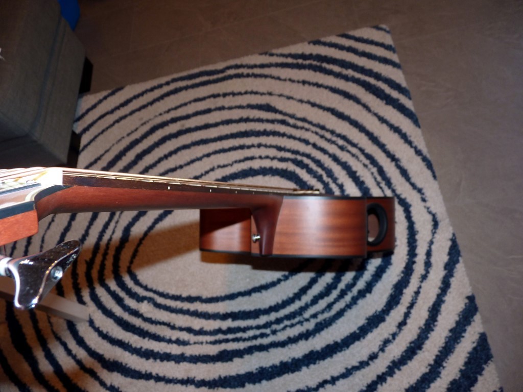 P1040513 (Medium).JPG