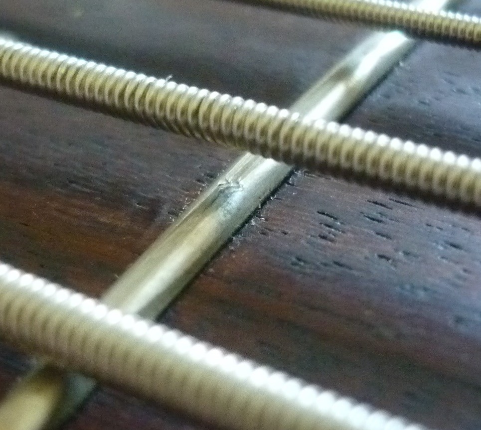 P1060691.jpg