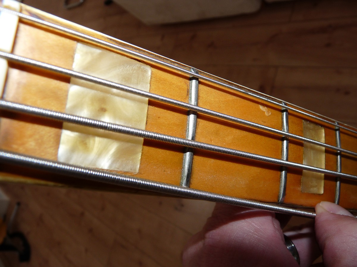P1090179b.jpg