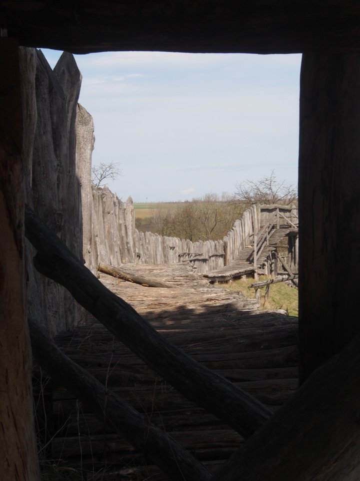 P4031545.jpg