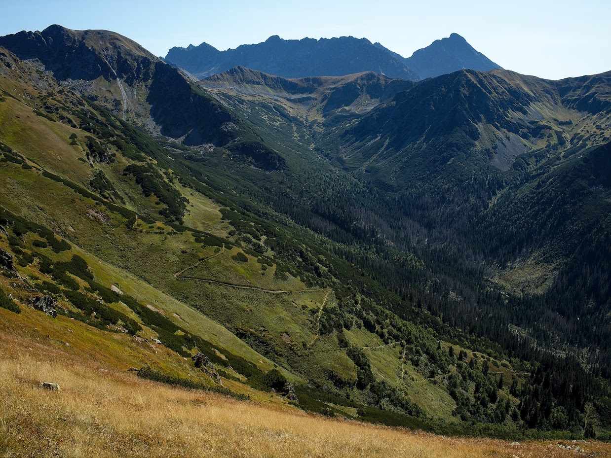 P9150425.jpg