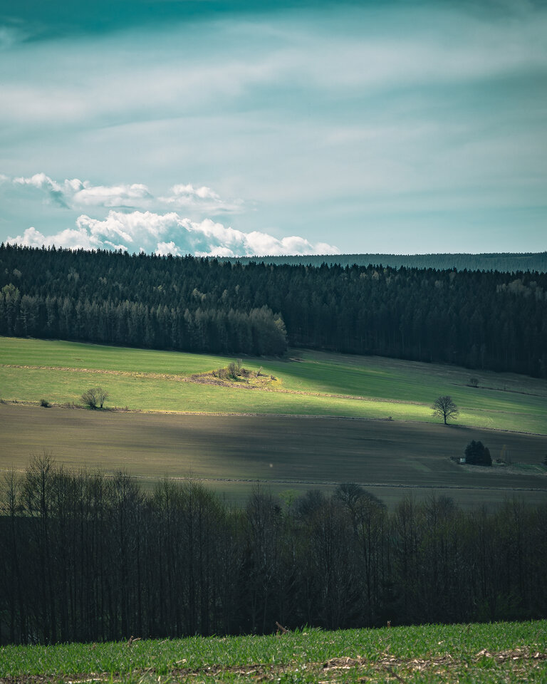 PANA8364-Enhanced-NR.jpg