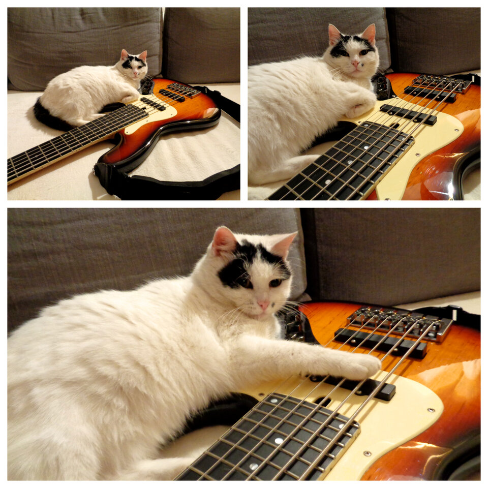 PANAGIOTA BASS.jpg