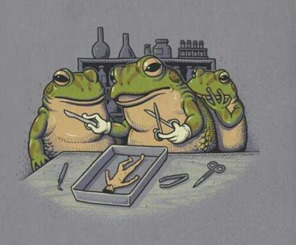 paralleluniversum.jpg