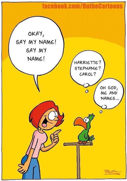 parrots.jpg