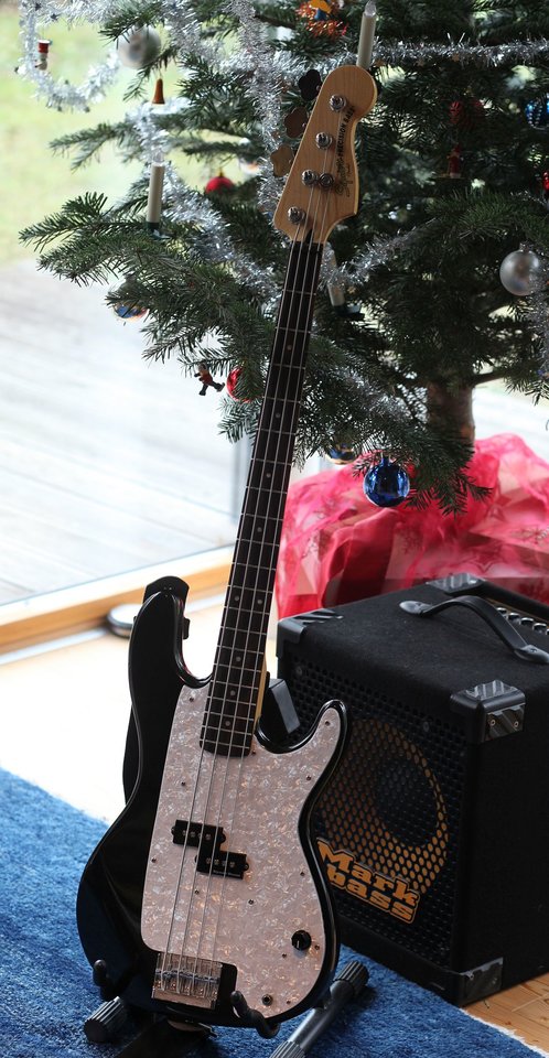 pbass homemade IMG_2412.jpg