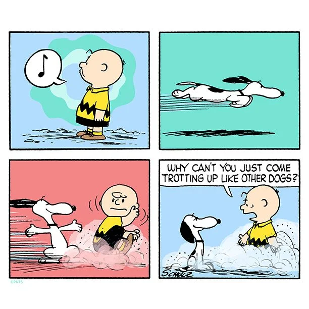 peanuts1.webp