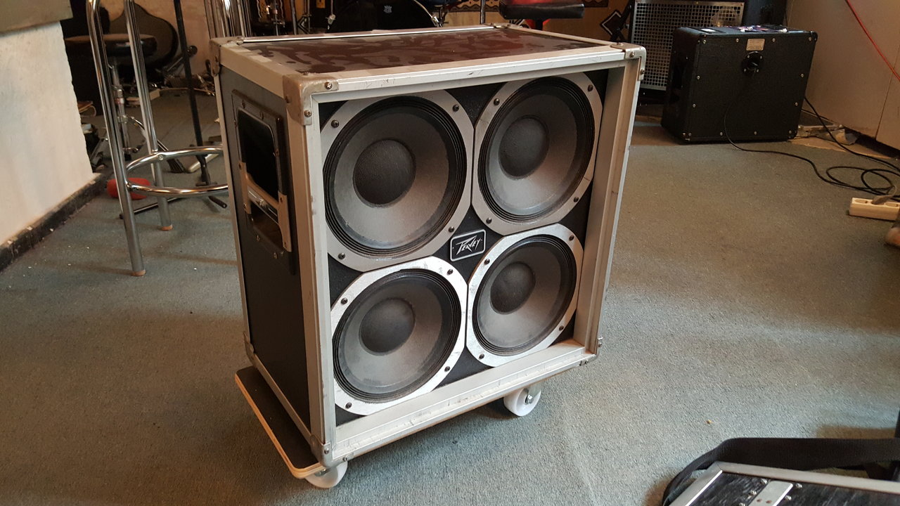 Peavey Cab open.jpg