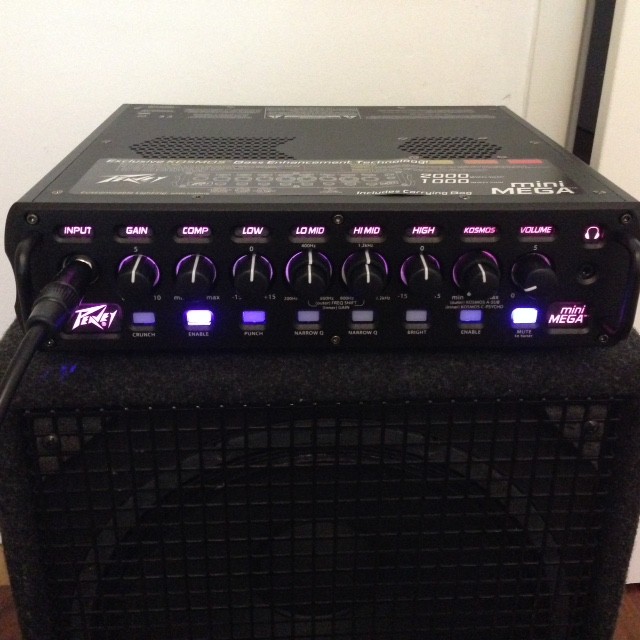 Peavey mini MEGA.JPG