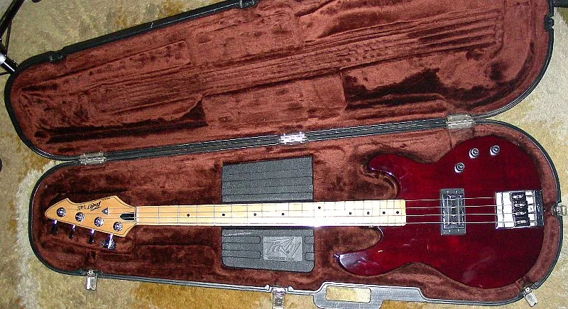 Peavey T-45.jpg